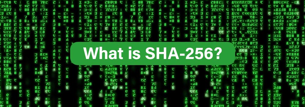 What is SHA-256? How is Hashing used?